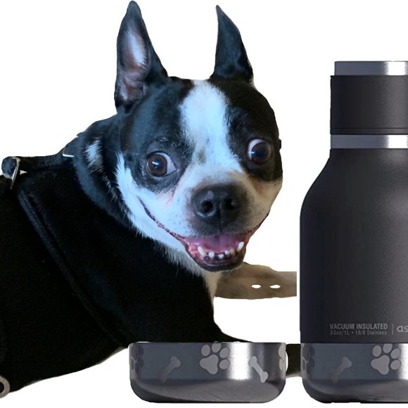 Asobu Other - Asobu Pet Bowl Attached to Stainless Steel Insulated Travel Water Bottle 33 Oz.